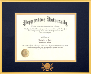 Satin Gold Metal Diploma Frame With Medallion and Laurel Leaf for 8.5x11 diploma/degree